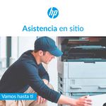 1000x1000_Asistencia-en-sitio